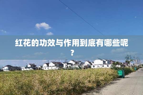 红花的功效与作用到底有哪些呢？