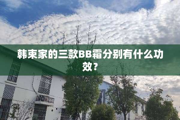 韩束家的三款BB霜分别有什么功效？