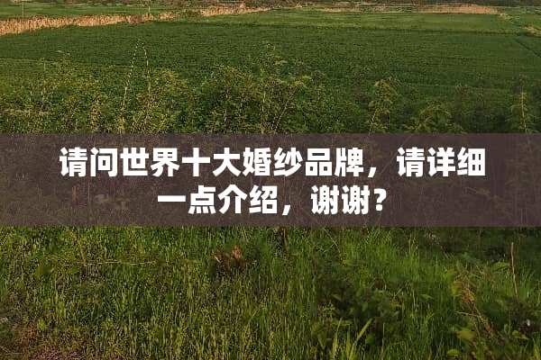 请问世界十大婚纱品牌，请详细一点介绍，谢谢？
