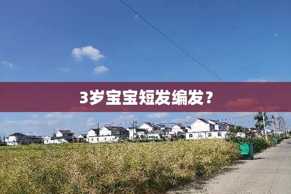 3岁宝宝短发编发？