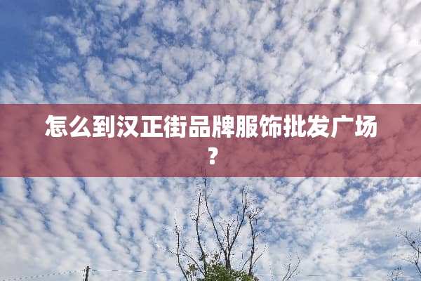 怎么到汉正街品牌服饰批发广场？