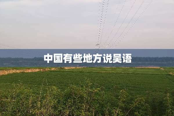 中国有些地方说吴语
