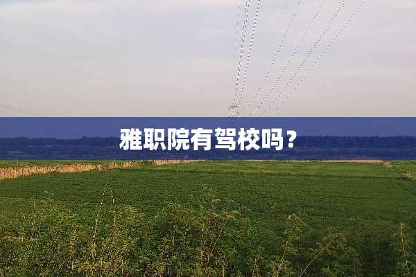 雅职院有驾校吗？