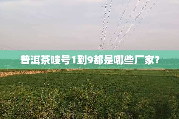 普洱茶唛号1到9都是哪些厂家？