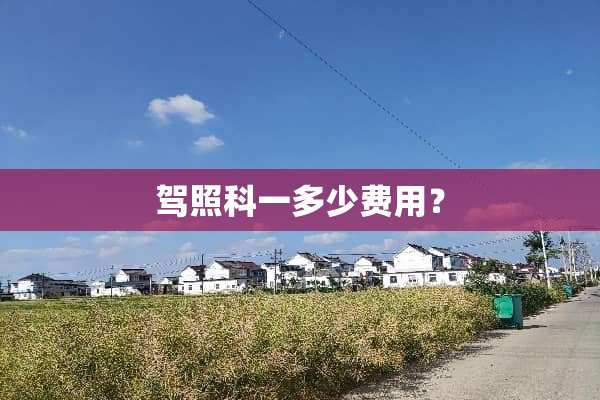 驾照科一多少费用？
