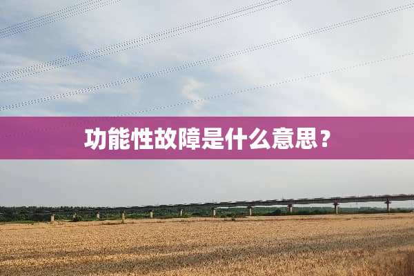 功能性故障是什么意思？