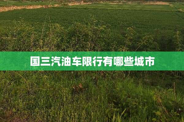 国三汽油车限行有哪些城市