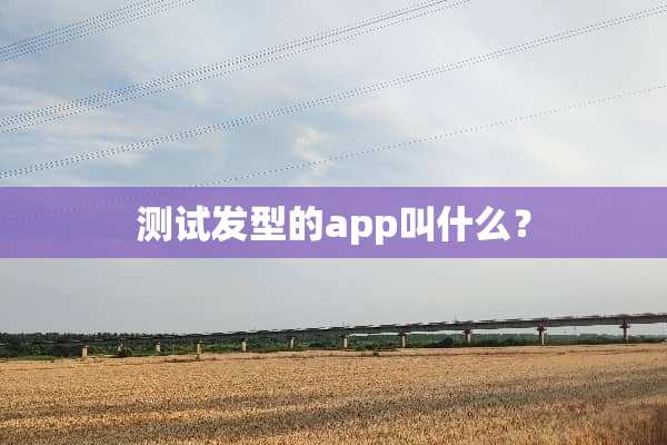 测试发型的app叫什么？