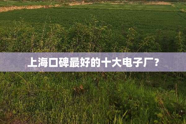 上海口碑最好的十大电子厂？
