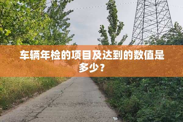 车辆年检的项目及达到的数值是多少？