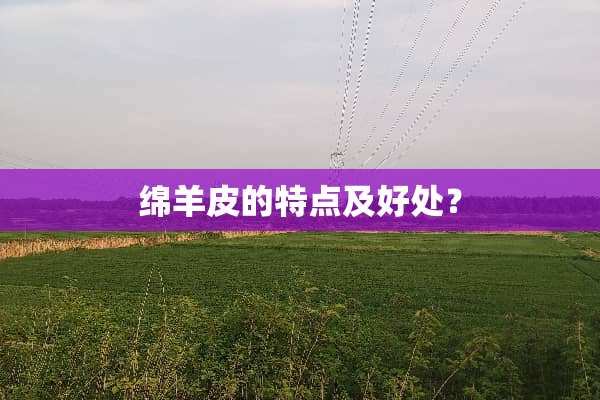 绵羊皮的特点及好处？