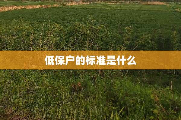 低保户的标准是什么