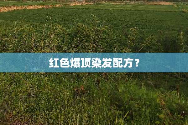 红色爆顶染发配方？