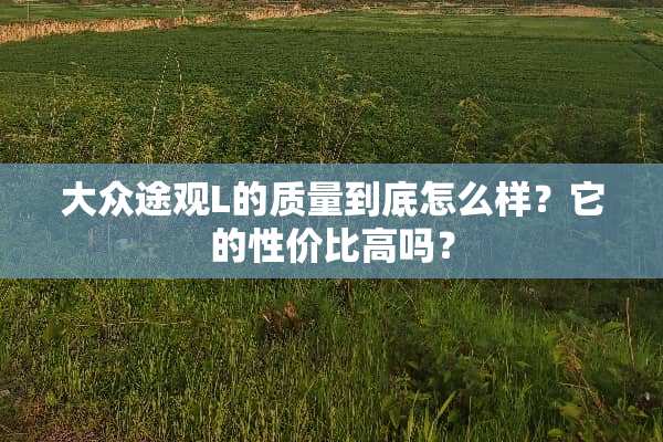 大众途观L的质量到底怎么样？它的性价比高吗？