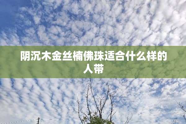*沉木金丝楠佛珠适合什么样的人带