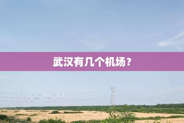 武汉有几个机场？