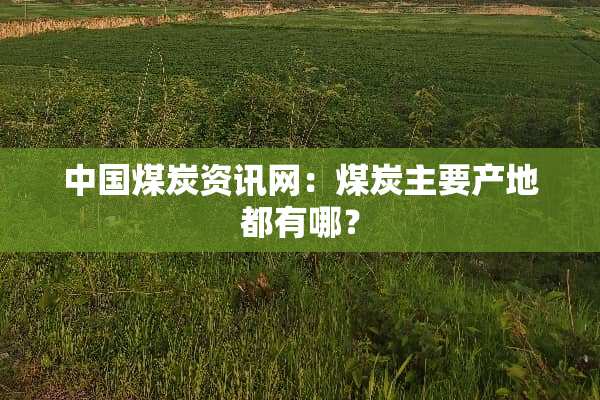 中国煤炭资讯网：煤炭主要产地都有哪？