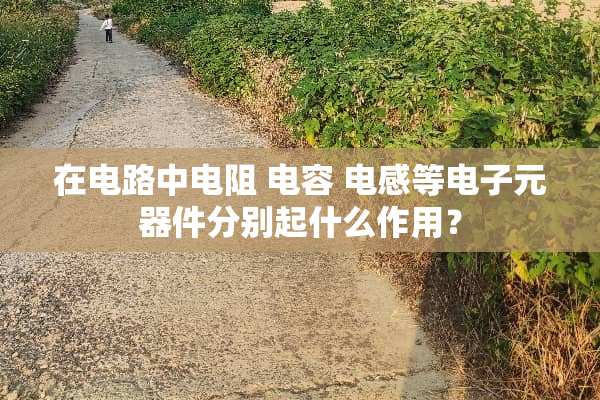 在电路中电阻 电容 电感等电子元器件分别起什么作用？