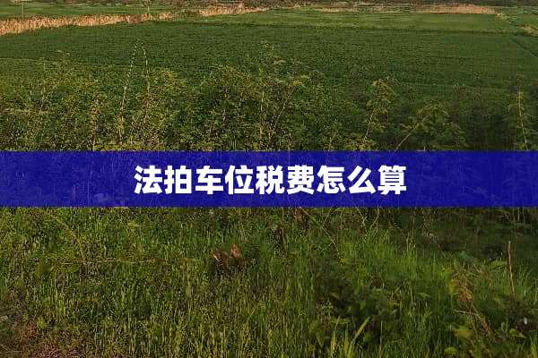 法拍车位税费怎么算