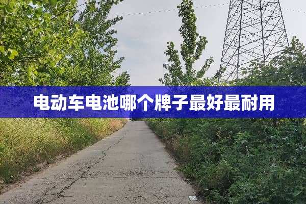 电动车电池哪个牌子最好最耐用