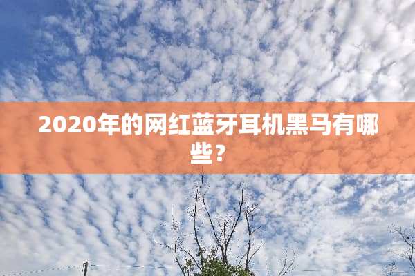 2020年的网红蓝牙耳机黑马有哪些？
