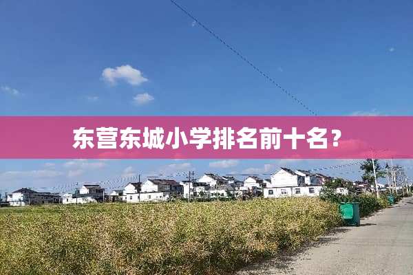 东营东城小学排名前十名？