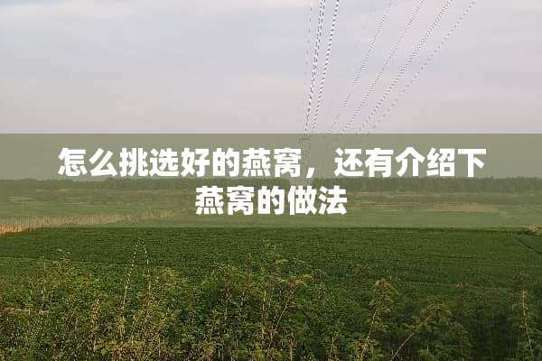 怎么挑选好的燕窝，还有介绍下燕窝的做法