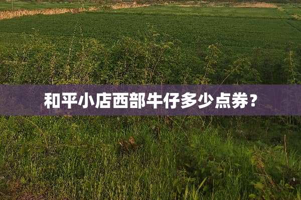 和平小店西部牛仔多少点券？