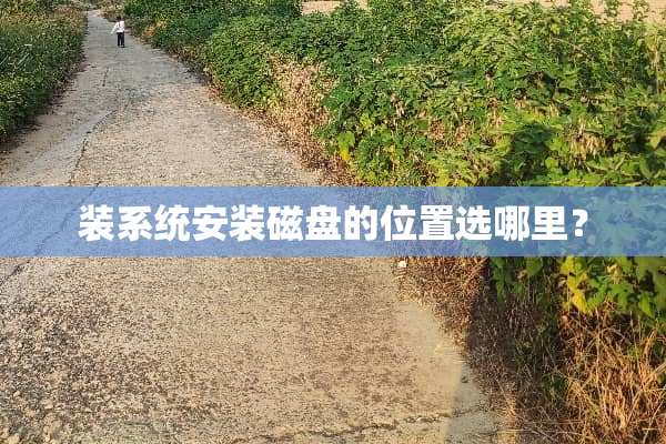 装系统安装磁盘的位置选哪里？