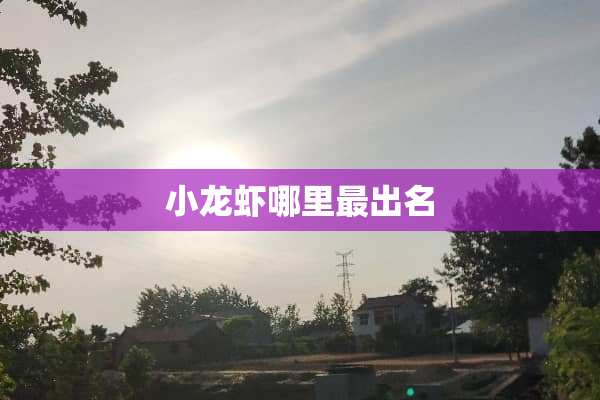 小龙虾哪里最出名