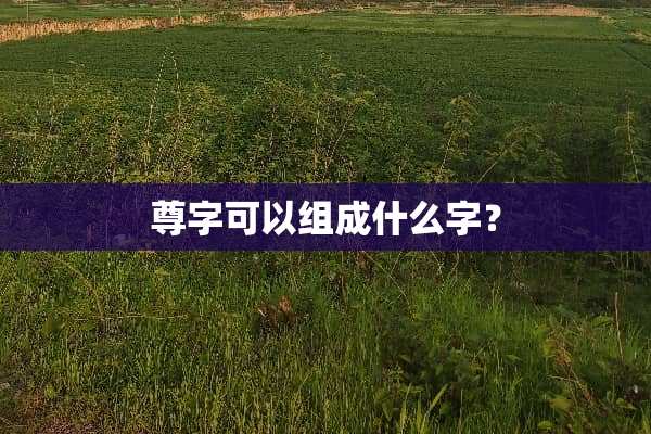 尊字可以组成什么字？