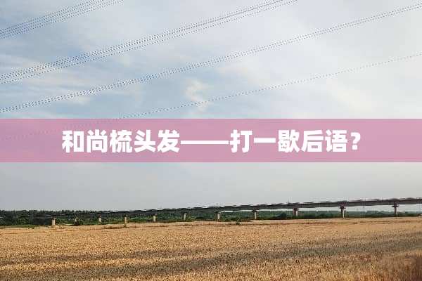 和尚梳头发――打一歇后语？