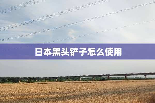 日本黑头铲子怎么使用