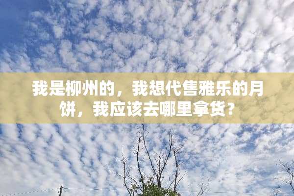 我是柳州的，我想代售雅乐的月饼，我应该去哪里拿货？