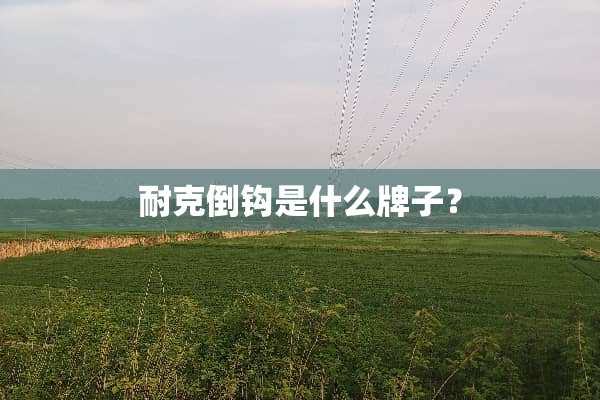 耐克倒钩是什么牌子？