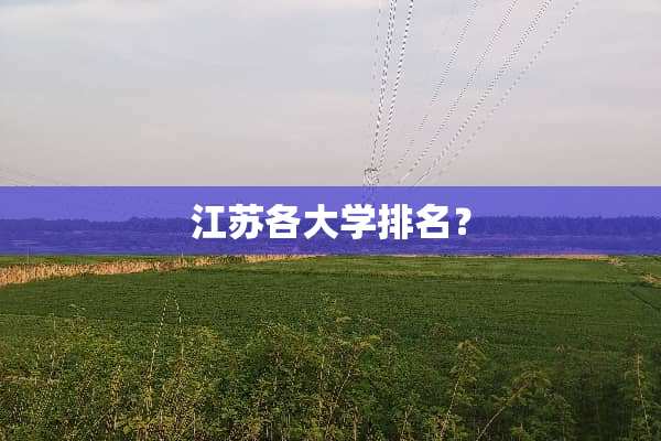 江苏各大学排名？