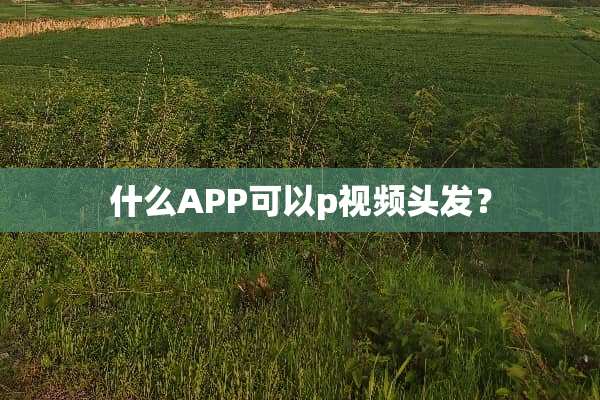 什么APP可以p视频头发？
