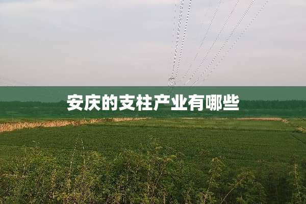 安庆的支柱产业有哪些