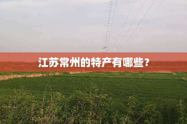 江苏常州的特产有哪些？