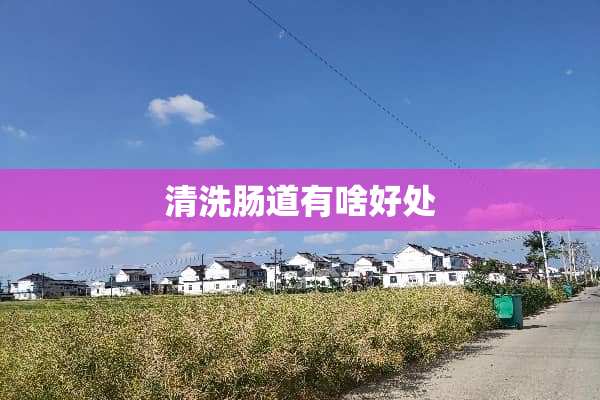 清洗肠道有啥好处