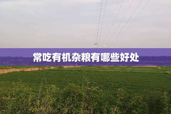 常吃有机杂粮有哪些好处