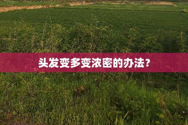 头发变多变浓密的办法？
