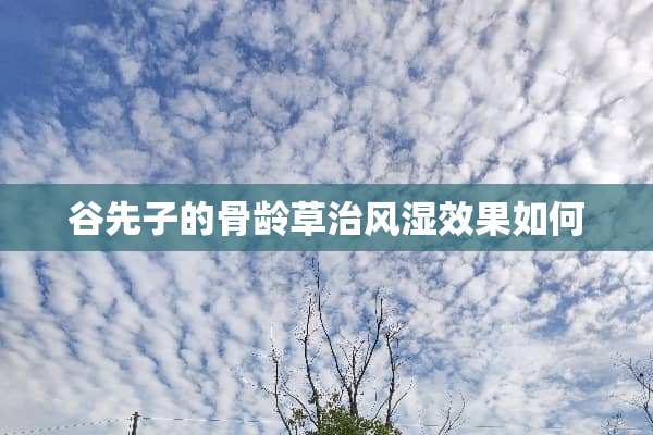 谷先子的骨龄草治风湿效果如何