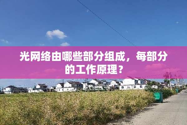 光网络由哪些部分组成，每部分的工作原理？