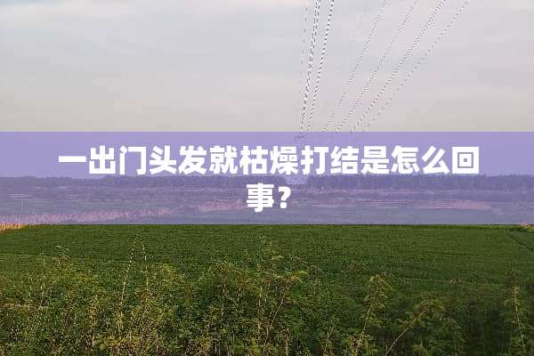 一出门头发就枯燥打结是怎么回事？