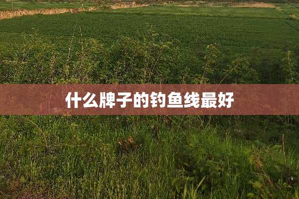 什么牌子的钓鱼线最好