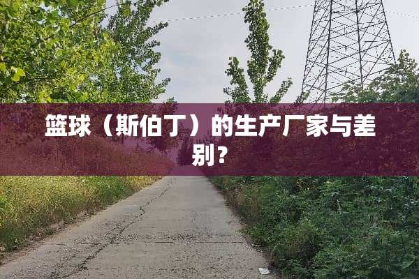 篮球（斯伯丁）的生产厂家与差别？