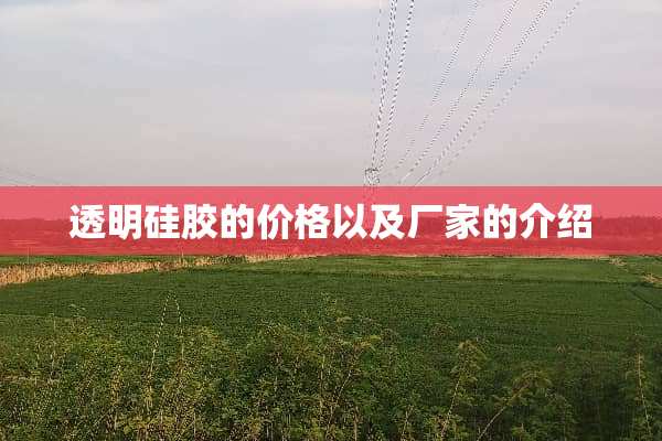 透明硅胶的价格以及厂家的介绍
