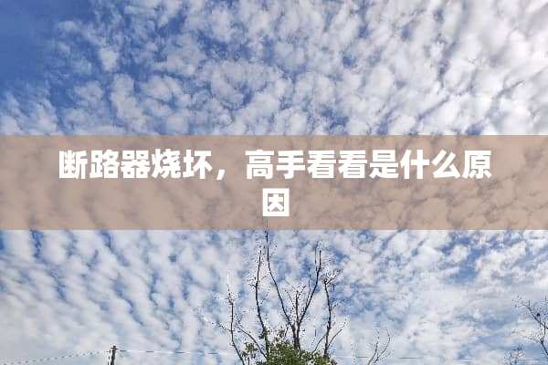 断路器烧坏，高手看看是什么原因