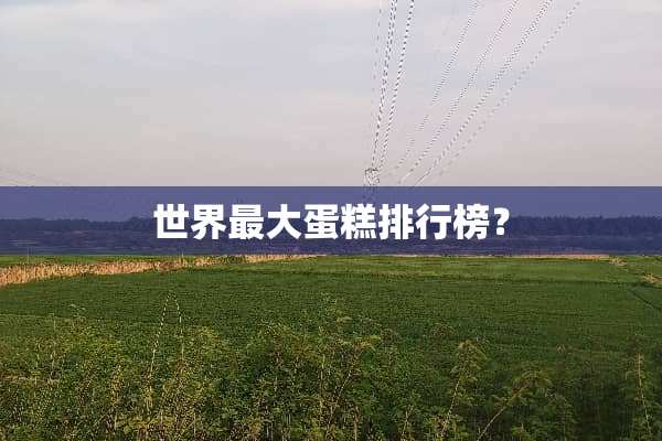 世界最大蛋糕排行榜？